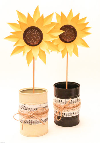 Girasoli in Barattolo